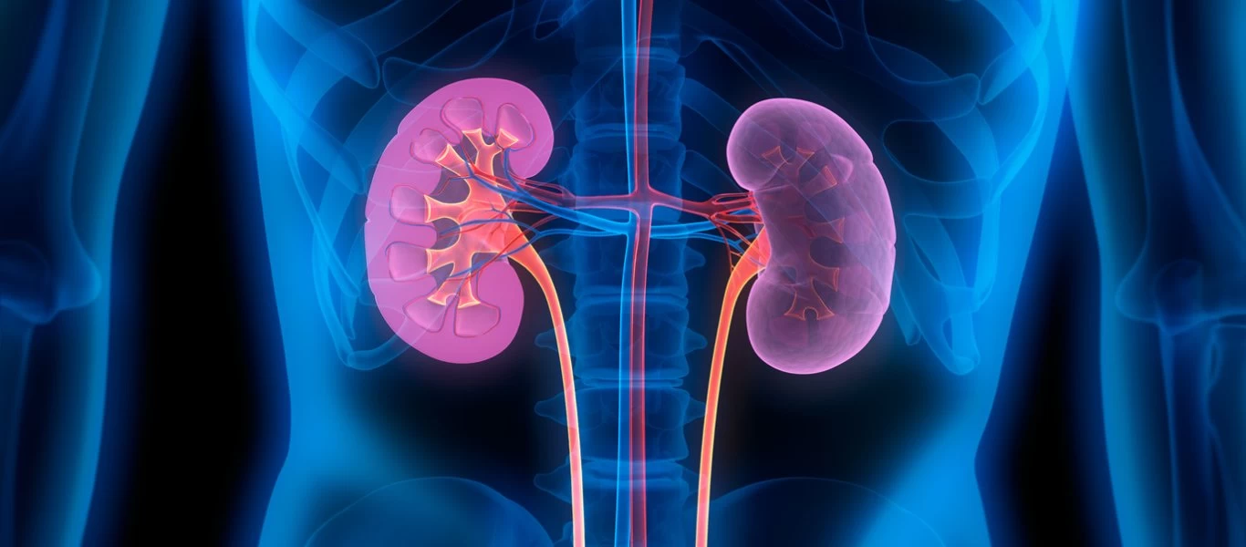 Αυτοί είναι οι πιο εύκολοι τρόποι για να αποβάλετε τις τοξίνες από τους νεφρούς